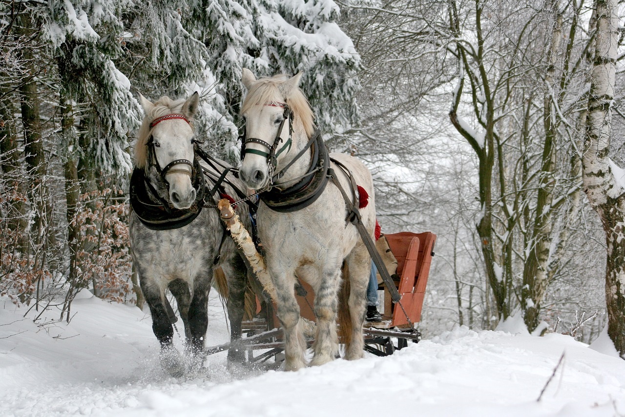 sleigh-ride-549727_1280